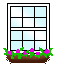 windowhi *windowhi*