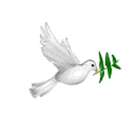 Animated Holy Spirit Dove flying with olive branch