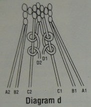 Ichthus bookmark diagram d