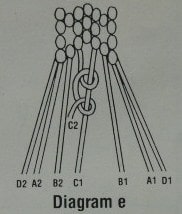 Ichthus bookmark diagram e