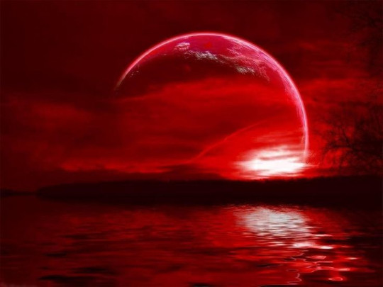 Red moon at night horizon