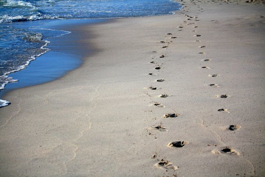 Two sets of footprints in the sand