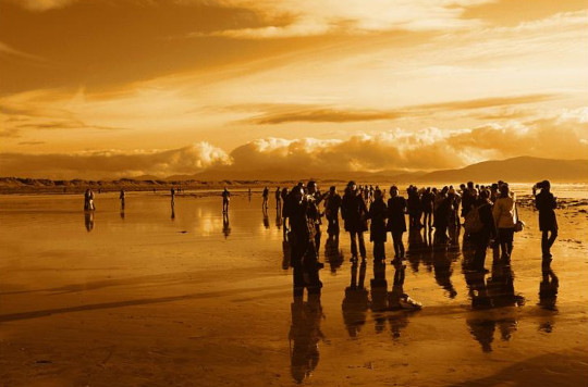 Gathering of People Left Behind on a Shore