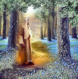 Jesus on a glowing path in a Forest