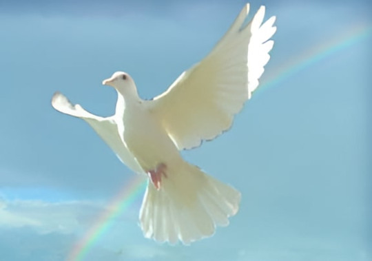 Holy Spirit Dove in flight