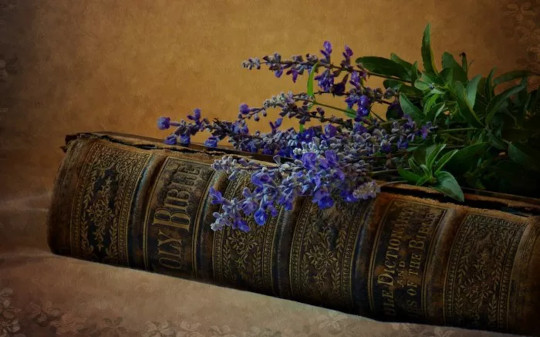 Old Bible with bluebonnet flowers atop