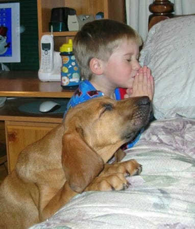 A boy and his dog, both kneeling at bedside with prayerful hands, eyes closed, and heads tilted to Heaven