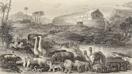 The animals entering Noah's Ark