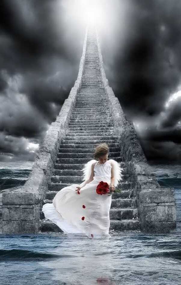 Child angel holding bouquet of roses walking down a stone staircase out of the sky into water