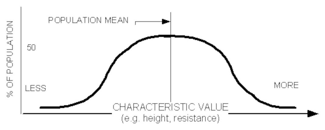 Bell Curve