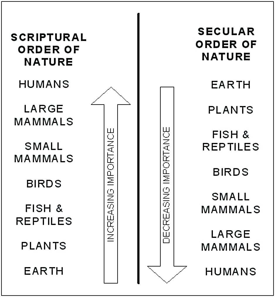 Order of Nature Comparison