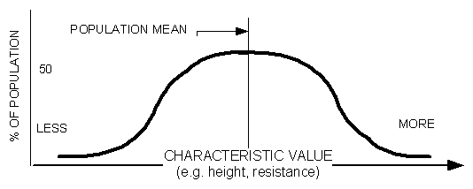 Bell Curve