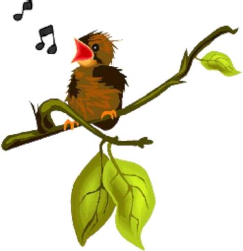 Singing bird